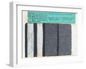 Samples of Urling's Lace-null-Framed Photographic Print