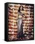 Samson and Delilah-null-Framed Stretched Canvas