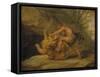 Samson and the Lion, c.1640-Peter Paul Rubens-Framed Stretched Canvas