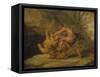 Samson and the Lion, c.1640-Peter Paul Rubens-Framed Stretched Canvas