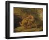 Samson and the Lion, c.1640-Peter Paul Rubens-Framed Giclee Print