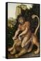 Samson Fighting a Lion-Lucas Cranach the Elder-Framed Stretched Canvas