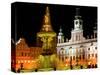 Samson fountain and Town Hall, Ceske Budejovice, Czech Republic-Russell Young-Stretched Canvas