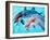 Samson the Bottlenose Dolphin Meets His New Mate at Whipsnade Zoo-null-Framed Premium Photographic Print