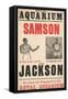 Samson V Jackson-null-Framed Stretched Canvas