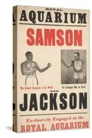 Samson V Jackson-null-Stretched Canvas