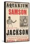 Samson V Jackson-null-Framed Stretched Canvas