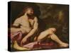 Samson Victorious (Oil on Canvas)-Giambattista Langetti-Stretched Canvas