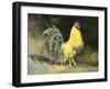 Samson-Jerry Cable-Framed Giclee Print