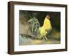 Samson-Jerry Cable-Framed Giclee Print