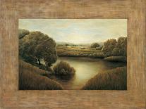 Lake View I-Samuel Blanco-Stretched Canvas