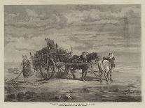 Carting Seaweed, Coast of Normandy, from the Exhibition of the Royal Academy-Samuel C. Bird-Framed Stretched Canvas