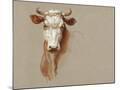 Wood Mount
