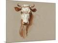 Wood Mount