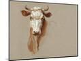 Wood Mount