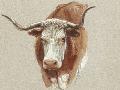 Laminate