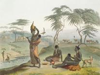 African Scenery and Animals at the Cape of Good Hope, 1804-5-Samuel Daniell-Giclee Print