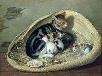 Cat with Her Kittens in a Basket, 1797-Samuel de Wilde-Giclee Print