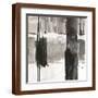 Brown Frame