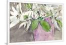 Gramercy White
