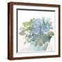 Brown Frame