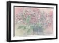 Black Frame