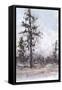 Canvas Black