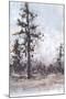 Wood Mount
