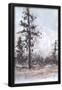 Essential Black