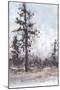 Wood Mount