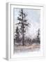 White Frame