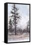 Canvas Black