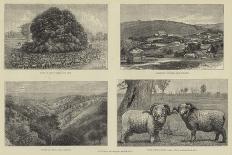 Pictures of South Australia-Samuel Edmund Waller-Giclee Print