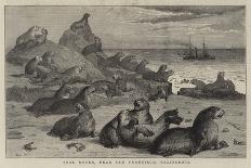 Seal Rocks, Near San Francisco, California-Samuel Edmund Waller-Giclee Print