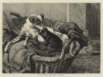 You are Requested to Keep the Hall Doors Shut on Account of the Animals in the Park-Samuel Edmund Waller-Giclee Print