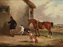 Bull Baiting-Samuel Henry Alken-Stretched Canvas