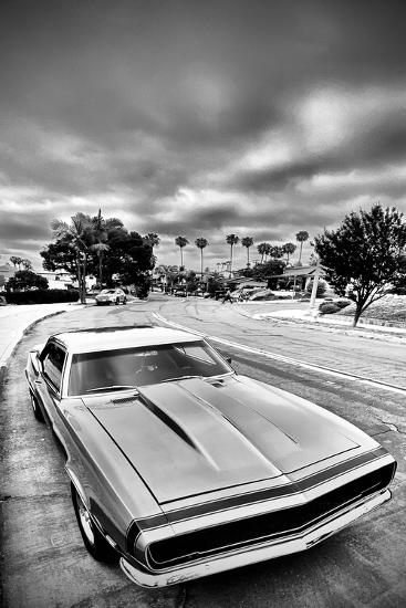 Premium Photographic Print, , large