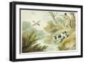 Black Frame
