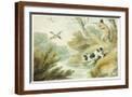 Brown Frame