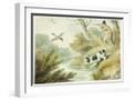 White Frame