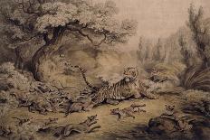The Dead Tiger; Mort Du Tigre, 1807-Samuel Howitt-Framed Giclee Print