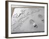 Samuel Jackson, Hand and Foot Prints, Chinese Mann Movie Theatre, Hollywood Boulevard, Los Angeles-Wendy Connett-Framed Photographic Print