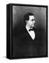 Samuel Jackson Randall, American Politician, C1860S-WA Greaves-Framed Stretched Canvas