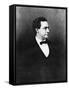 Samuel Jackson Randall, American Politician, C1860S-WA Greaves-Framed Stretched Canvas