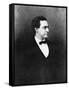 Samuel Jackson Randall, American Politician, C1860S-WA Greaves-Framed Stretched Canvas