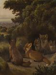 A litter of Fox Cubs by Samuel John Carter-Samuel John Carter-Giclee Print