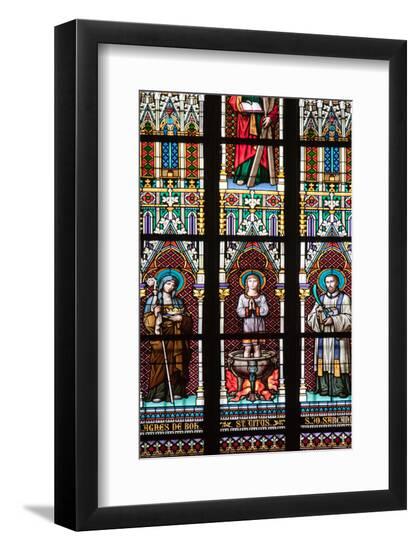Premium Photographic Print, , large