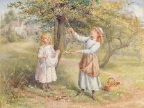 Picking Apples-Samuel Mccloy-Laminated Giclee Print