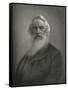 Samuel Morse, US Telegraph Inventor-Science, Industry and Business Library-Framed Stretched Canvas