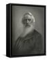 Samuel Morse, US Telegraph Inventor-Science, Industry and Business Library-Framed Stretched Canvas